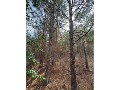 Discover the perfect blend of privacy, natural beauty, and - photo 15