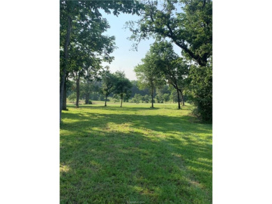 (private lake, pond, creek) Acreage For Sale in Iola Texas