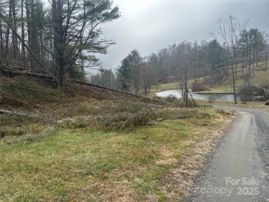 (private lake, pond, creek) Lot For Sale in Bakersville North Carolina
