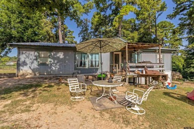 Lake Home For Sale in Larue, Texas