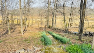 Charming Cottage with Dock Access & Stunning Views! Call Josh! - photo 8