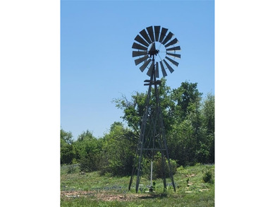 Lake Acreage For Sale in Santa Anna, Texas