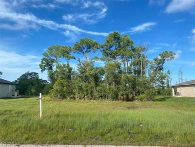 Build your dream home on this great vacant lot located in the - photo 3