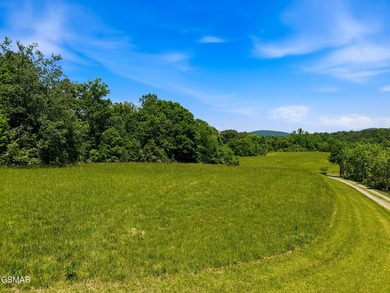 Spanning approximately 62.96 total combined acres between two - photo 6