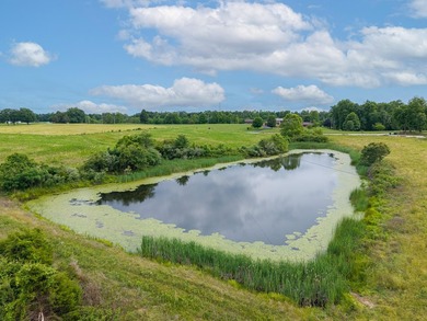 Discover the perfect blend of privacy, productivity, and - photo 7