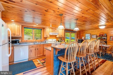 One-of-a-kind Youghiogheny riverfront estate offering 400 feet - photo 6