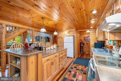 One-of-a-kind Youghiogheny riverfront estate offering 400 feet - photo 8