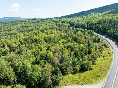 Wallace Pond Acreage For Sale in Canaan Vermont