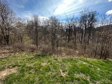 Doe Run Lake  Lot Sale Pending in Erlanger Kentucky