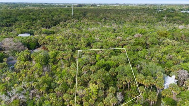 Discover the charm of Old Florida living on this beautiful - photo 4