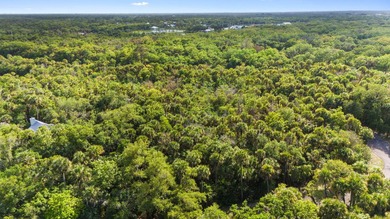 Discover the charm of Old Florida living on this beautiful - photo 8