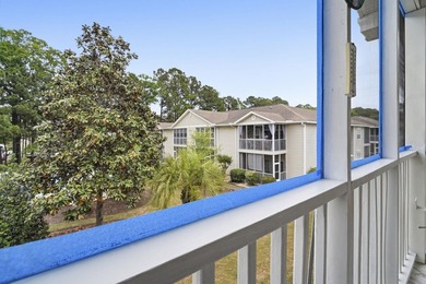 Welcome to 6208 Sweetwater Blvd in the heart of Murrells Inlet-a - photo 36