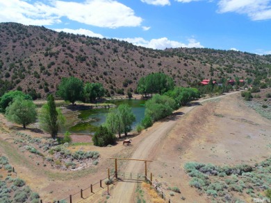 (private lake, pond, creek) Home For Sale in Reno Nevada