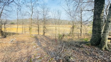 Charming Cottage with Dock Access & Stunning Views! Call Josh! - photo 9
