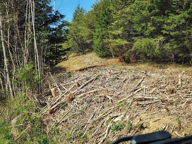 Nolichucky River Acreage For Sale in Bybee Tennessee