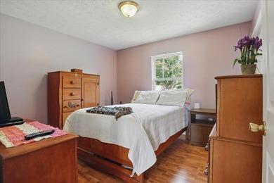 Douglas Lakefront home with gentle sloping property, incredible - photo 13