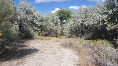 (private lake, pond, creek) Acreage For Sale in Lovelock Nevada