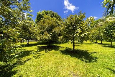 Welcome to your tropical paradise on 26th Avenue in Keaau's - photo 25