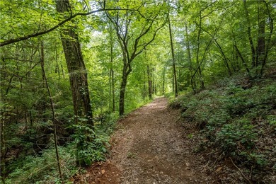 This Lake Keowee this property is full of potential! This land - photo 25