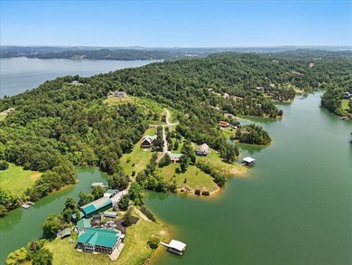 Douglas Lakefront home with gentle sloping property, incredible - photo 27