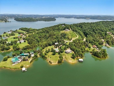 Douglas Lakefront home with gentle sloping property, incredible - photo 37