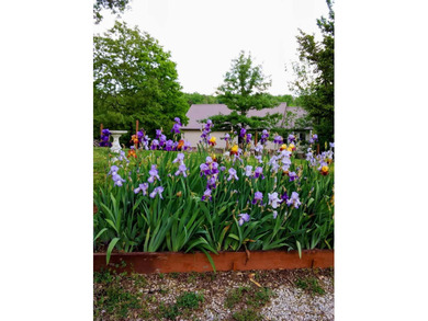 Douglas Lakefront home with gentle sloping property, incredible - photo 41
