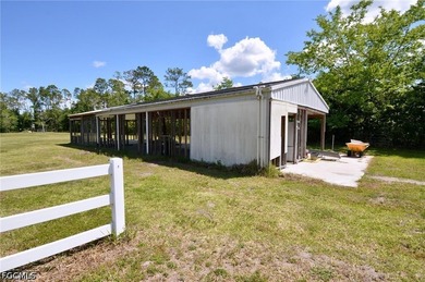 Prime horse property 20 minutes from the beach - get the best of - photo 4