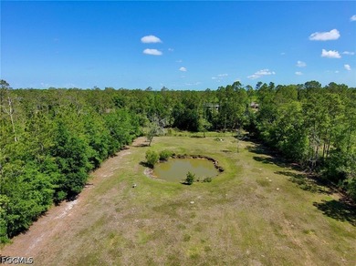 Prime horse property 20 minutes from the beach - get the best of - photo 5
