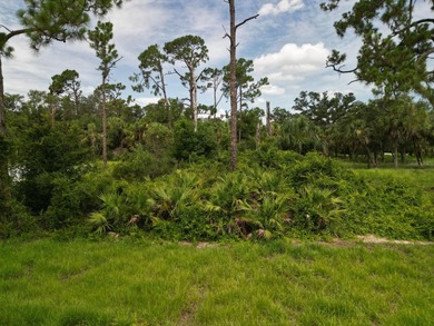 Port Charlotte Waterway Area Lot Sale Pending in Port Charlotte Florida