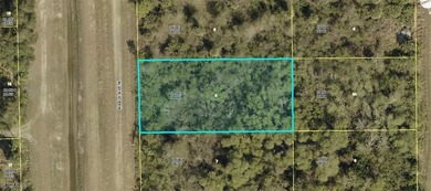 Lehigh Acres Area Lot For Sale in Lehigh Acres Florida