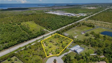 (private lake, pond, creek) Lot For Sale in St. James City Florida