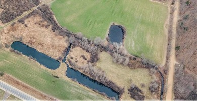 This 2 acre homesite in Manlius Township, within the Fennville - photo 2