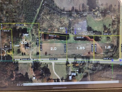 This 2 acre homesite in Manlius Township, within the Fennville - photo 5
