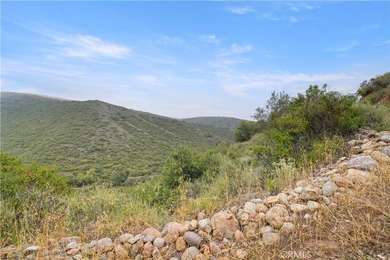 Vacant Land - photo 20