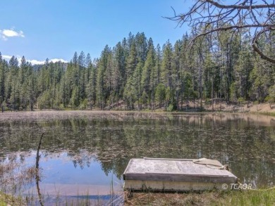(private lake, pond, creek) Acreage For Sale in Trinity Center California
