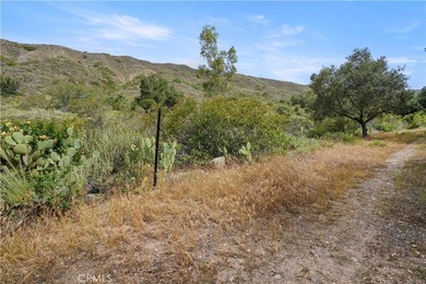 Vacant Land - photo 22
