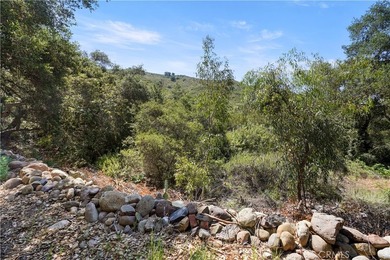 Vacant Land - photo 23