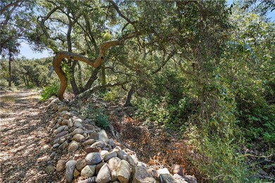 Vacant Land - photo 24