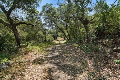 Vacant Land - photo 27