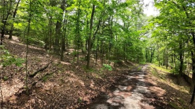 Lake Lot For Sale in Russellville, Arkansas