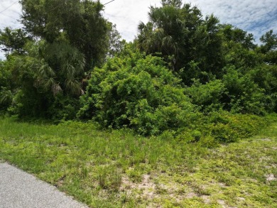 Port Charlotte Waterway Lakes Area Lot For Sale in Port Charlotte Florida
