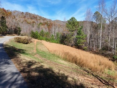 (private lake, pond, coastal) Lot For Sale in Hayesville North Carolina