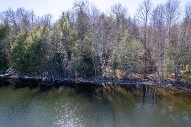 Crystal Lake - Iron County Lot For Sale in Park Falls Wisconsin