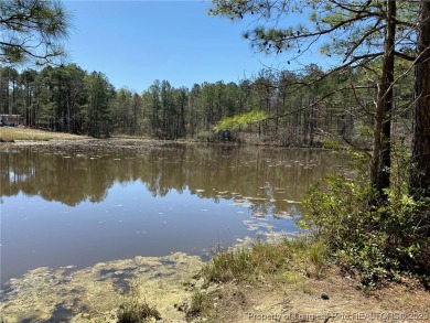 Lake Acreage For Sale in Cameron, North Carolina