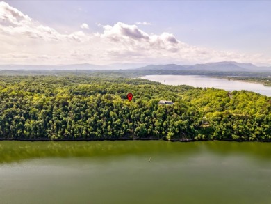 Nearly 5 Acre Douglas Lakefront Lot For Sale - Lake Lot For Sale in Newport, Tennessee
