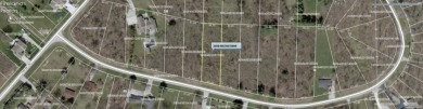 Buildable Lot in Holiday Lakes SOLD - photo 2