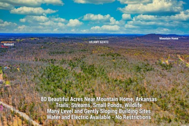 (private lake, pond, creek) Acreage For Sale in Mountain Home Arkansas