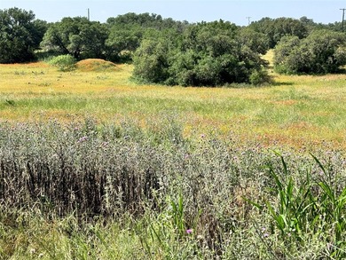Fantastic lots in a cul-de-sac, with great views over the - photo 3