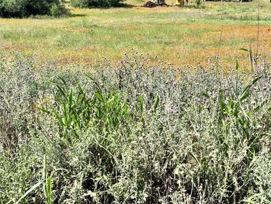 Fantastic lots in a cul-de-sac, with great views over the - photo 4