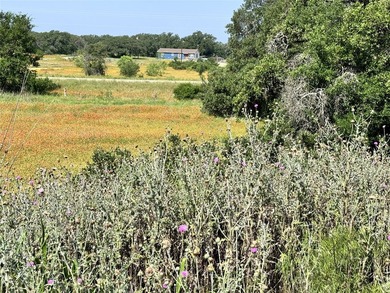 Fantastic lots in a cul-de-sac, with great views over the - photo 8